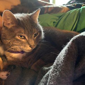 Meet your Posher, Becky